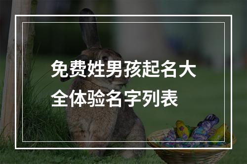 免费姓男孩起名大全体验名字列表