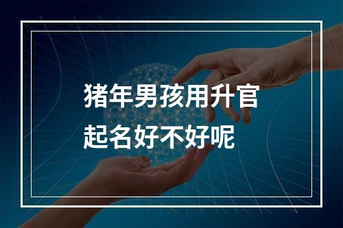 猪年男孩用升官起名好不好呢