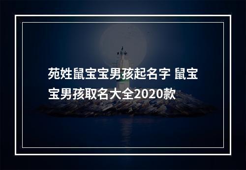 苑姓鼠宝宝男孩起名字 鼠宝宝男孩取名大全2020款