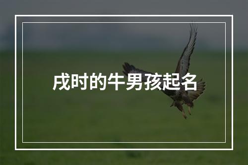 戌时的牛男孩起名