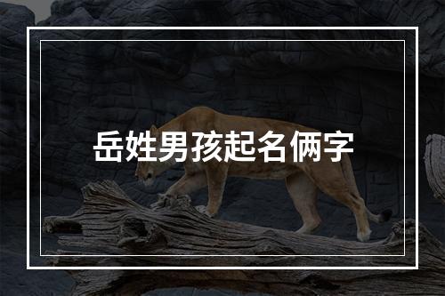 岳姓男孩起名俩字