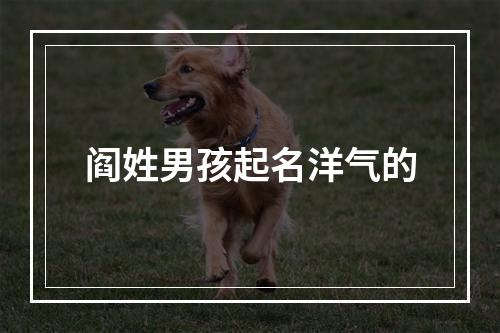 阎姓男孩起名洋气的