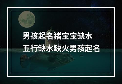 男孩起名猪宝宝缺水 五行缺水缺火男孩起名