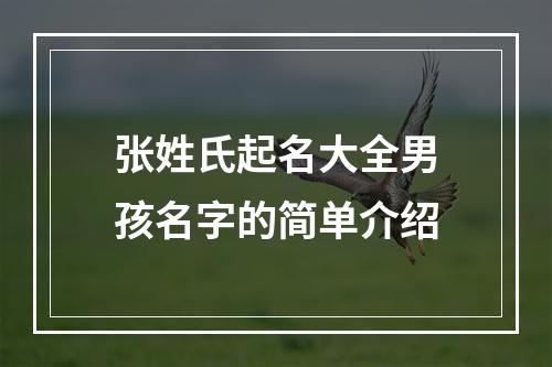 张姓氏起名大全男孩名字的简单介绍