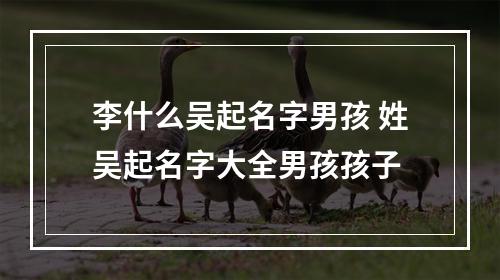李什么吴起名字男孩 姓吴起名字大全男孩孩子