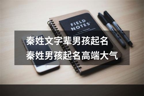 秦姓文字辈男孩起名 秦姓男孩起名高端大气