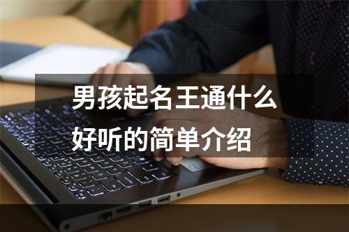 男孩起名王通什么好听的简单介绍
