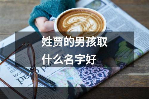 姓贾的男孩取什么名字好