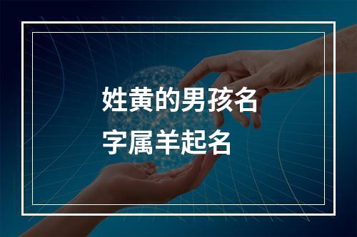 姓黄的男孩名字属羊起名