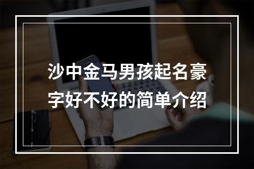 沙中金马男孩起名豪字好不好的简单介绍