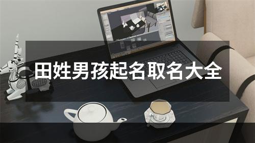 田姓男孩起名取名大全