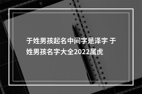 于姓男孩起名中间字是泽字 于姓男孩名字大全2022属虎