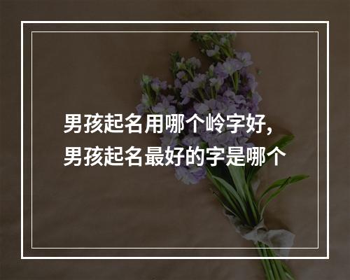 男孩起名用哪个岭字好,男孩起名最好的字是哪个