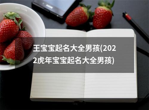 王宝宝起名大全男孩(2022虎年宝宝起名大全男孩)