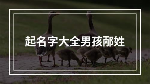 起名字大全男孩邴姓