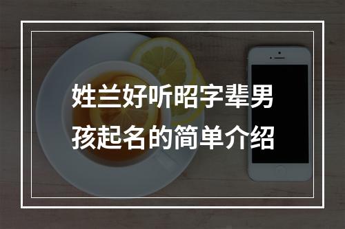 姓兰好听昭字辈男孩起名的简单介绍