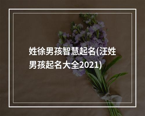 姓徐男孩智慧起名(汪姓男孩起名大全2021)
