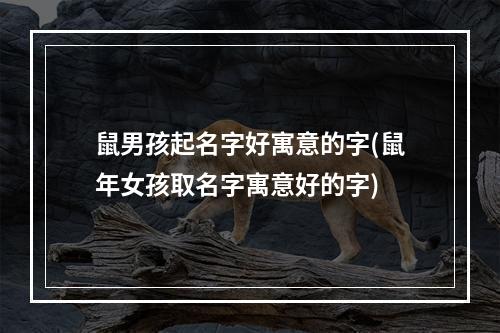 鼠男孩起名字好寓意的字(鼠年女孩取名字寓意好的字)