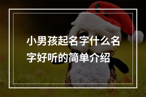 小男孩起名字什么名字好听的简单介绍