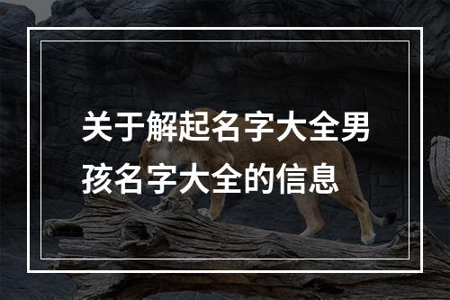关于解起名字大全男孩名字大全的信息