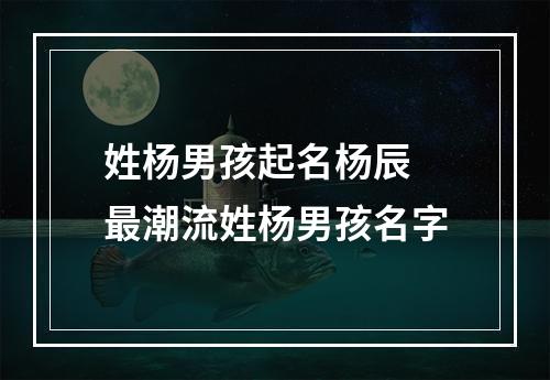 姓杨男孩起名杨辰 最潮流姓杨男孩名字
