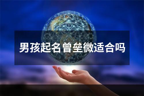 男孩起名曾垒微适合吗