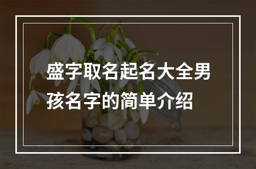 盛字取名起名大全男孩名字的简单介绍