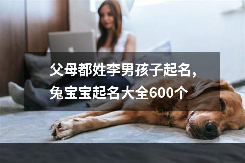 父母都姓李男孩子起名,兔宝宝起名大全600个