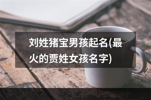 刘姓猪宝男孩起名(最火的贾姓女孩名字)