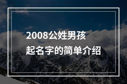2008公姓男孩起名字的简单介绍