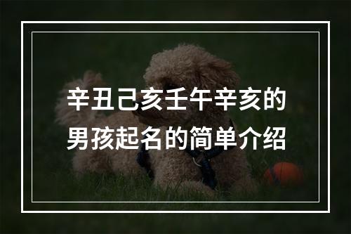 辛丑己亥壬午辛亥的男孩起名的简单介绍