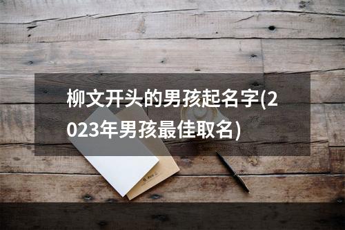 柳文开头的男孩起名字(2023年男孩最佳取名)
