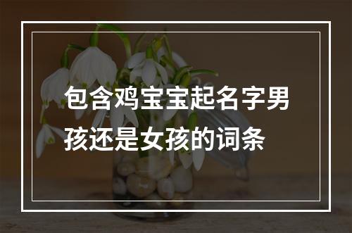 包含鸡宝宝起名字男孩还是女孩的词条