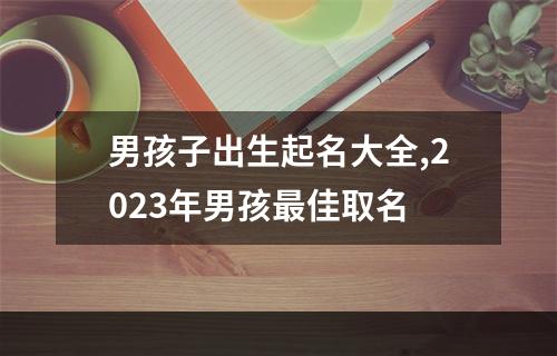 男孩子出生起名大全,2023年男孩最佳取名
