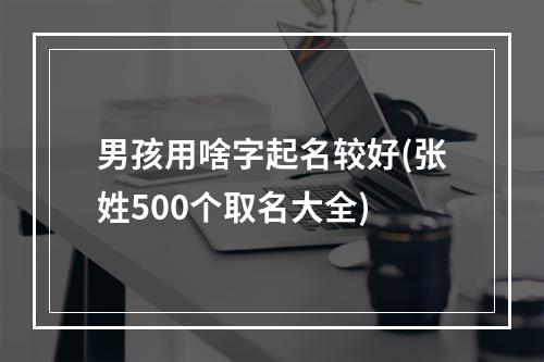 男孩用啥字起名较好(张姓500个取名大全)
