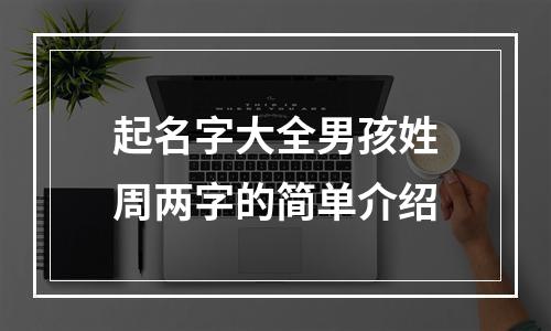 起名字大全男孩姓周两字的简单介绍