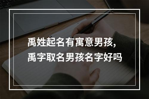 禹姓起名有寓意男孩,禹字取名男孩名字好吗
