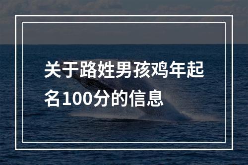 关于路姓男孩鸡年起名100分的信息