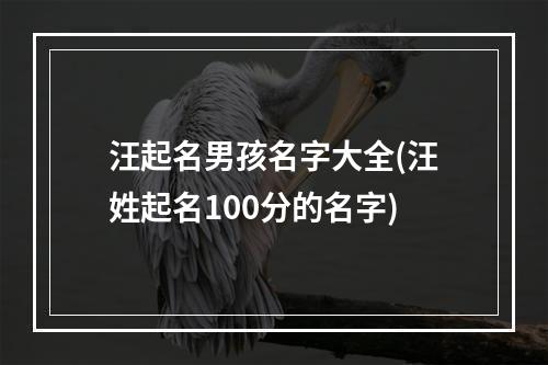 汪起名男孩名字大全(汪姓起名100分的名字)