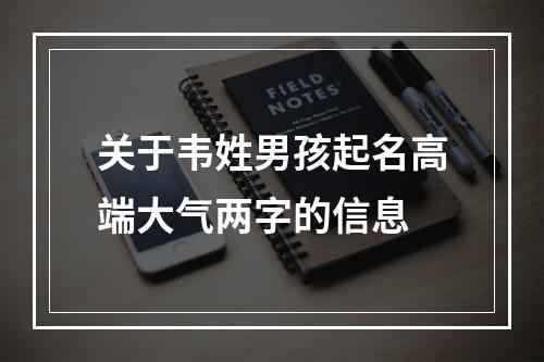 关于韦姓男孩起名高端大气两字的信息