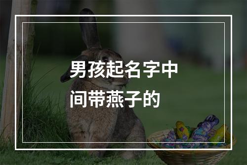 男孩起名字中间带燕子的