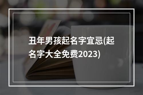 丑年男孩起名字宜忌(起名字大全免费2023)