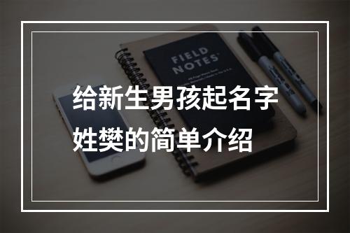 给新生男孩起名字姓樊的简单介绍