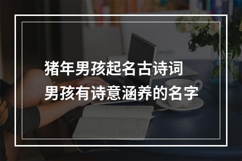 猪年男孩起名古诗词 男孩有诗意涵养的名字