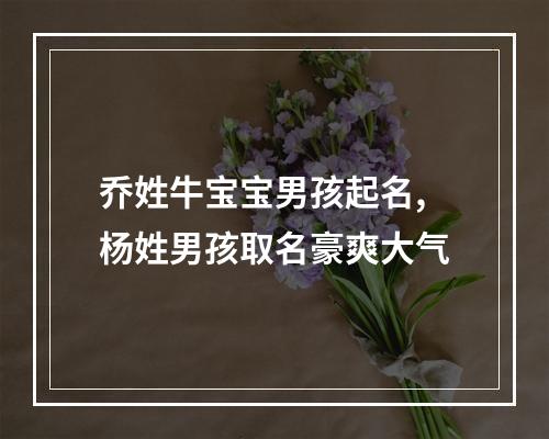 乔姓牛宝宝男孩起名,杨姓男孩取名豪爽大气