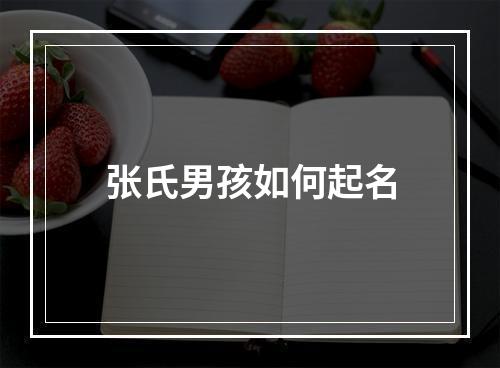 张氏男孩如何起名