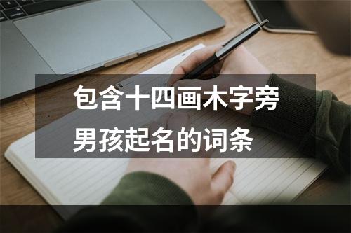 包含十四画木字旁男孩起名的词条