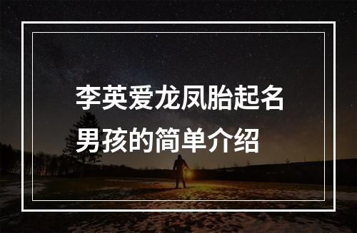 李英爱龙凤胎起名男孩的简单介绍