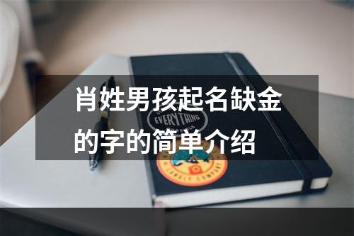 肖姓男孩起名缺金的字的简单介绍