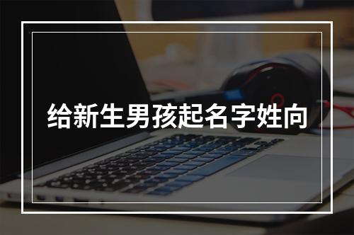 给新生男孩起名字姓向